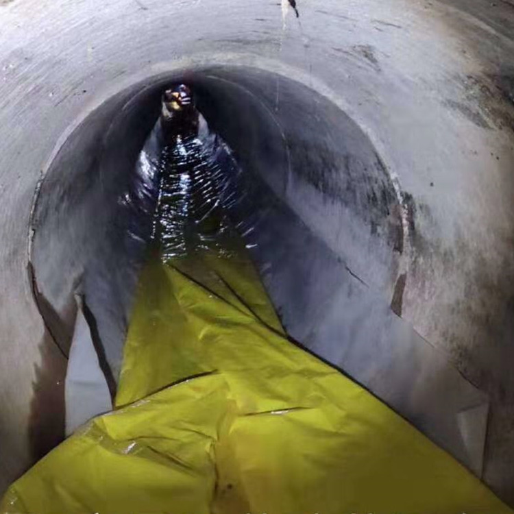 普兰店管道光固化修复